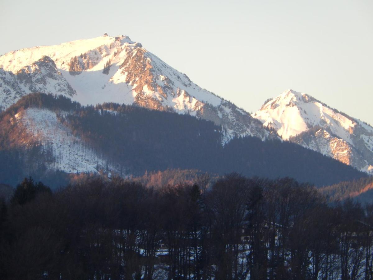 Private Luxury Chalet Siegsdorf Exterior foto